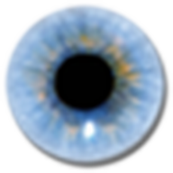 Visuwords（查家族词）