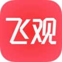 飞观